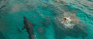 the-shallows-img-1